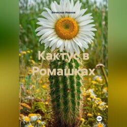 Кактус в Ромашках