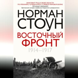 Восточный фронт. 1914 – 1917