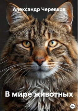 В мире животных