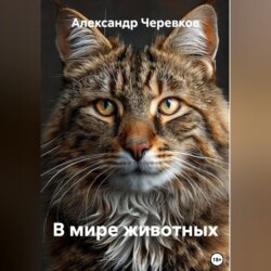 В мире животных