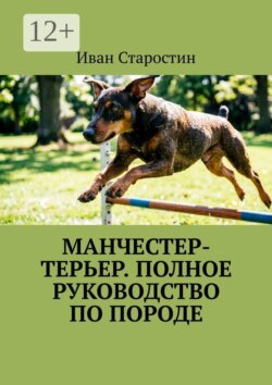 Манчестер-терьер. Полное руководство по породе