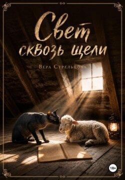 Свет сквозь щели