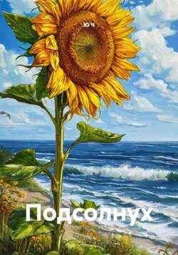Подсолнух