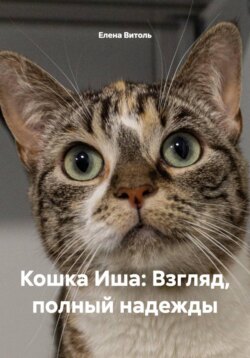 Кошка Иша: Взгляд, полный надежды
