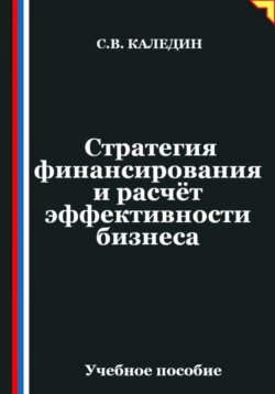 Стратегия финансирования и расчёт эффективности бизнеса