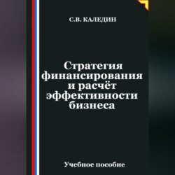 Стратегия финансирования и расчёт эффективности бизнеса