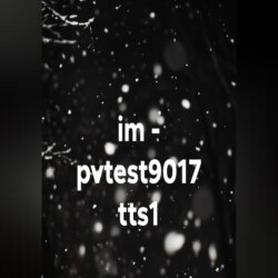 im - pvtest9017 tts1