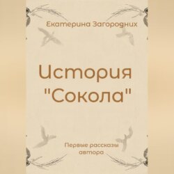 История "Сокола"