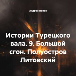Истории Турецкого вала. 9. Большой сгон. Полуостров Литовский