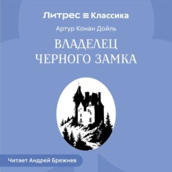 Владелец Черного замка