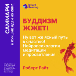 Буддизм жжет! Ну вот же ясный путь к счастью! Нейропсихология медитации и просветления. Роберт Райт. Саммари