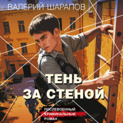 Тень за стеной
