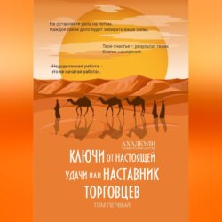 Ключи от настоящей удачи, или Наставник торговцев. Том первый