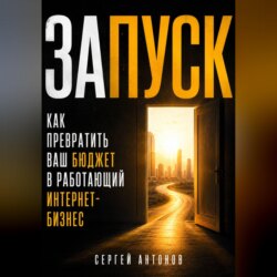 Запуск. Как превратить ваш бюджет в работающий интернет-бизнес