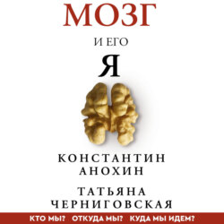 Мозг и его «Я». Кто мы? Откуда мы? Куда мы идем?