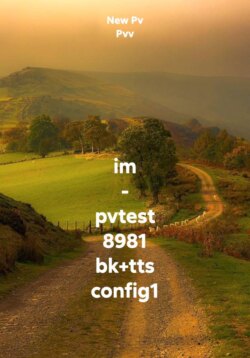 im - pvtest 8981 bk+tts config1