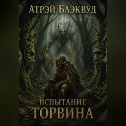 Испытание Торвина