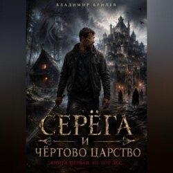 Серёга и чёртово царство