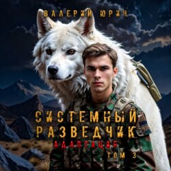 Системный разведчик. Адаптация. Том 3
