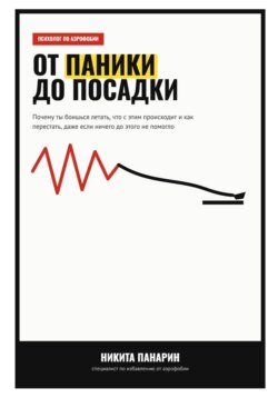 От паники до посадки