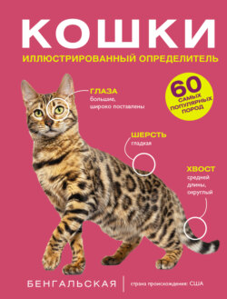 Кошки. 60 самых популярных пород. Иллюстрированный определитель