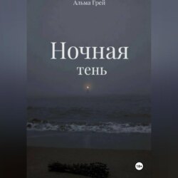 Ночная тень