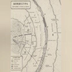 Камбий