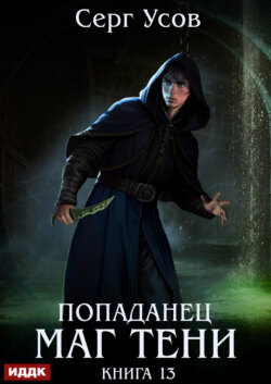 Попаданец. Маг Тени. Книга 13
