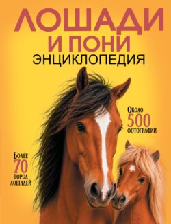 Самая лучшая иллюстрированная энциклопедия. Лошади и пони