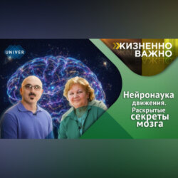 Как мозг человека обучается, адаптируется и восстанавливается