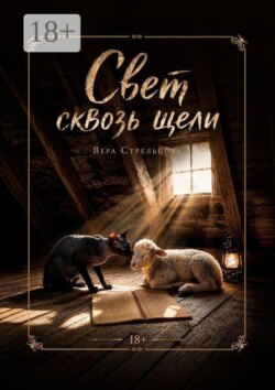 Свет сквозь щели