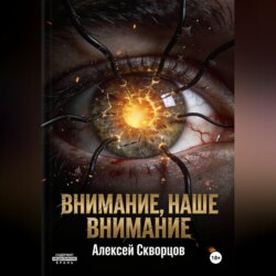Внимание, наше внимание
