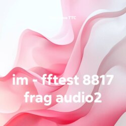 im – fftest 8817 frag audio2