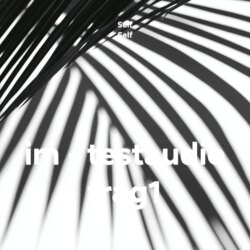 im – testaudio frag1