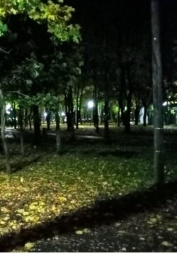 Осень страсти