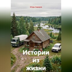 Истории из жизни