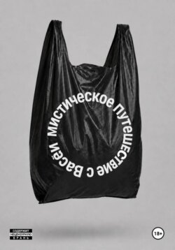 МИСТИЧЕСКОЕ ПУТЕШЕСТВИЕ С ВАСЕЙ