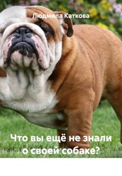 Что вы ещё не знали о своей собаке?