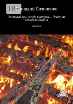 Реальный гусь всегда снаружи… Песочная Мандала Бытия. Синергия
