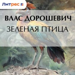 Зеленая птица