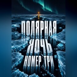 Полярная ночь номер три