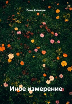 Иное измерение