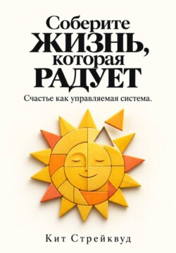 Соберите жизнь, которая радует. Счастье как управляемая система