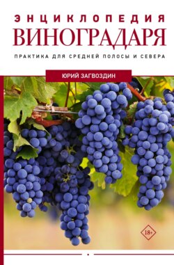Энциклопедия виноградаря