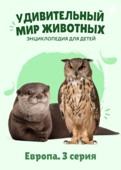 Удивительный мир животных. Европа. 3 серия