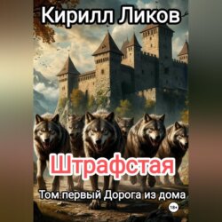 Штрафстая Том первый: Дорога из дома