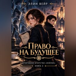 Детективное агентство Фэйлин. Право на будущее