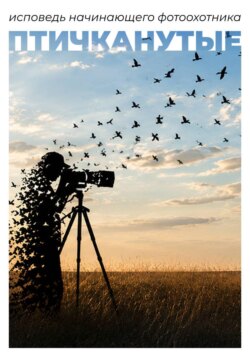 Птичканутые. Исповедь начинающего фотоохотника