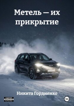 Метель — их прикрытие