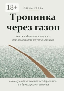 Тропинка через газон. Как складываются порядки, которых никто не устанавливал